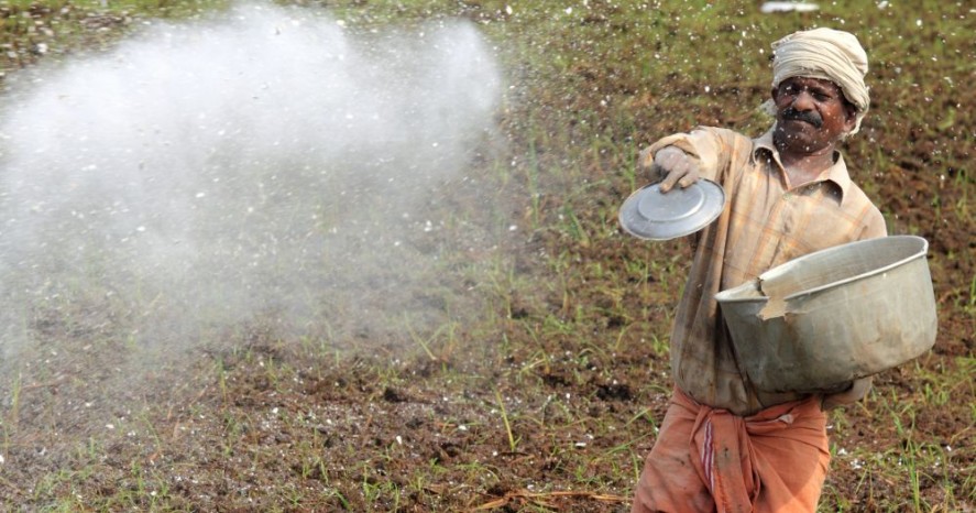 Punjab's urea stocks remain strong ahead of peak kharif demand, says Centre